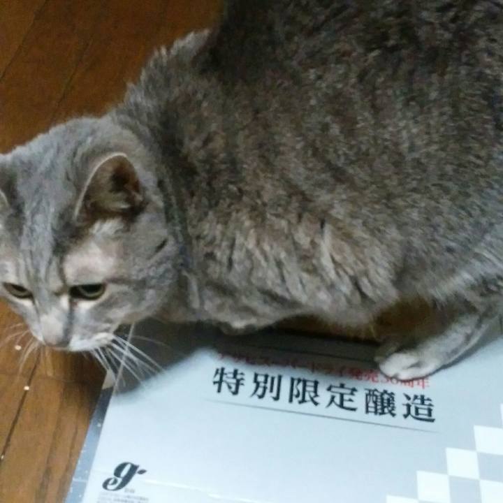 62912778 b1ea 4d9d 9723 317da4aa109b