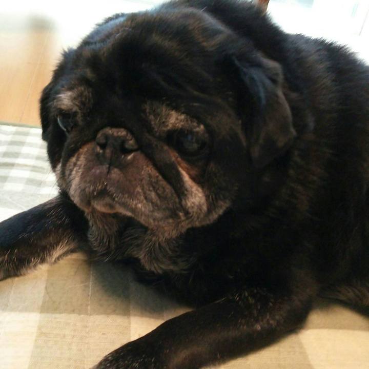 62913b53 0524 4c0b 8bff ee83019790cd