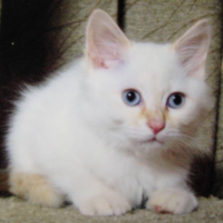 6291844f ee4a 4e8b abf5 cfb043f9d14b