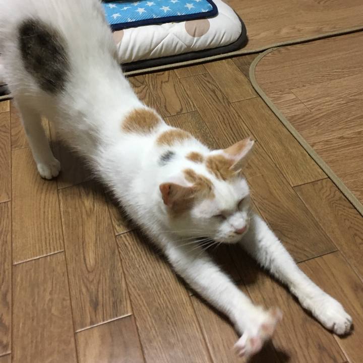 6291c5c3 520f 4f4c 9ac5 15be427742ab