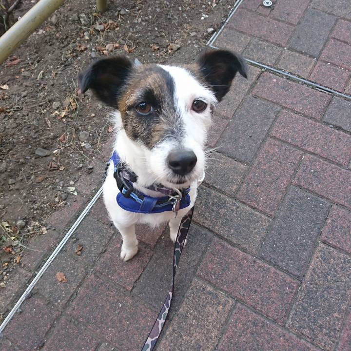 62936678 d9dd 46e6 b8e1 583e51297016