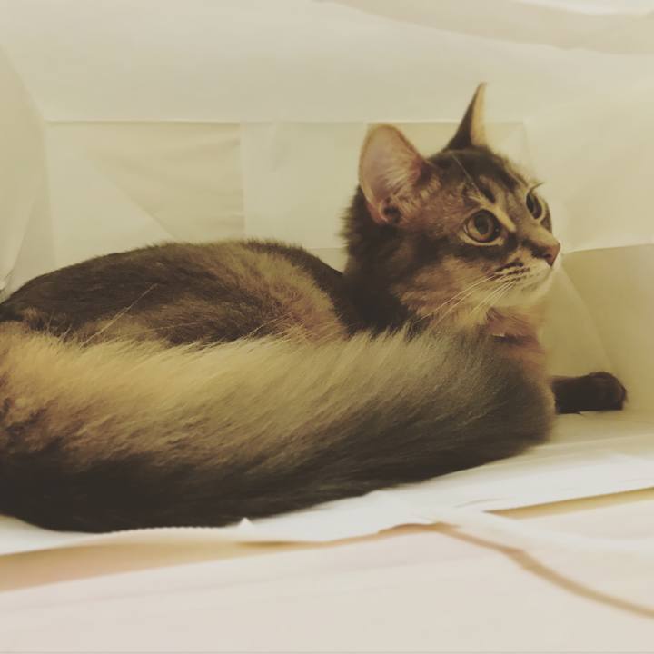 6293cb98 8800 4339 8481 60a8605e60a6