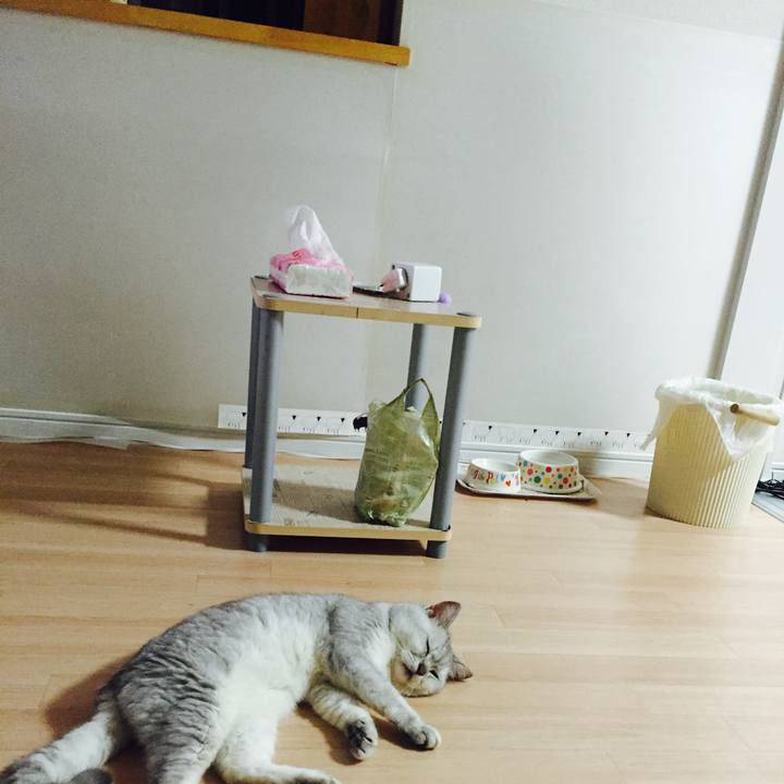 6293cf31 c447 43a9 abcf f6f451389495