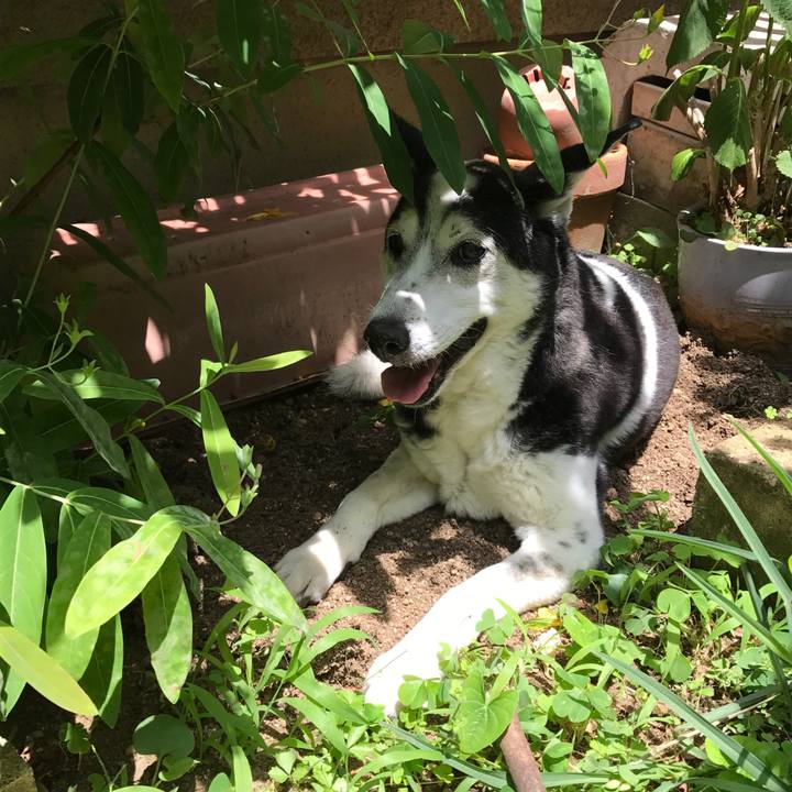 62941cc8 6875 48f7 8752 293722bff8b5