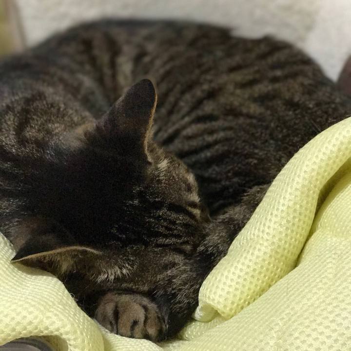 6294ae9c ef89 4042 ad78 1b08bf32113d