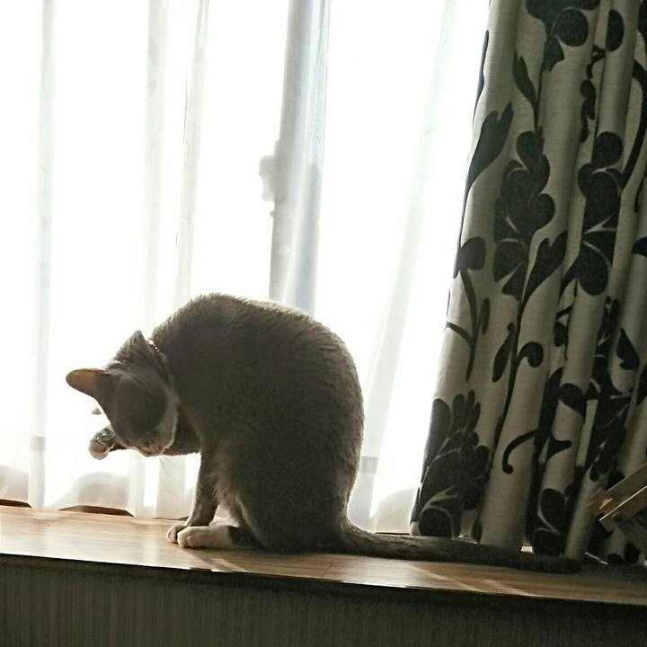 6294c671 e8b5 47a8 ad67 3f264fe680b1