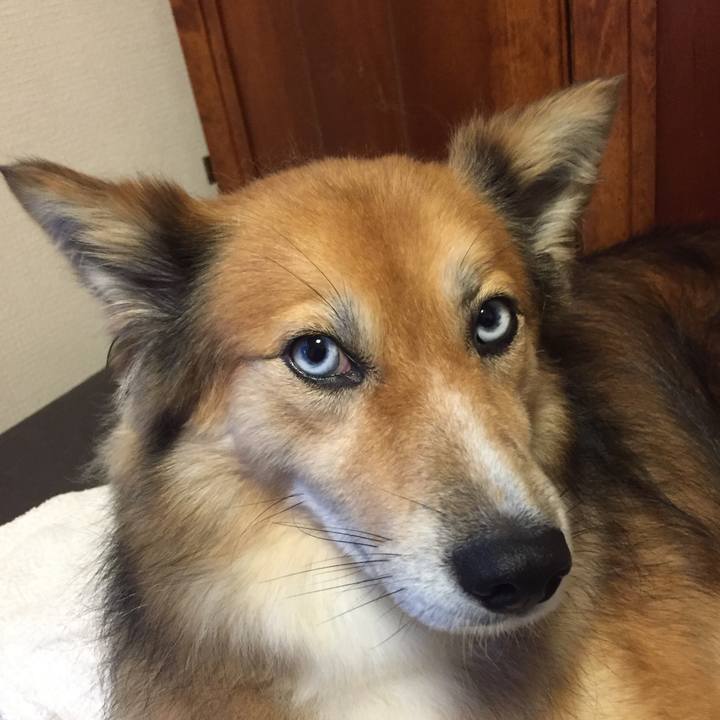 6294e488 9404 4208 95f2 d9ac5f052202