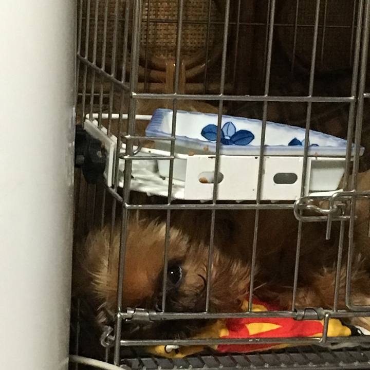 629538f8 a306 48c9 99fb 9ca4adf84be3