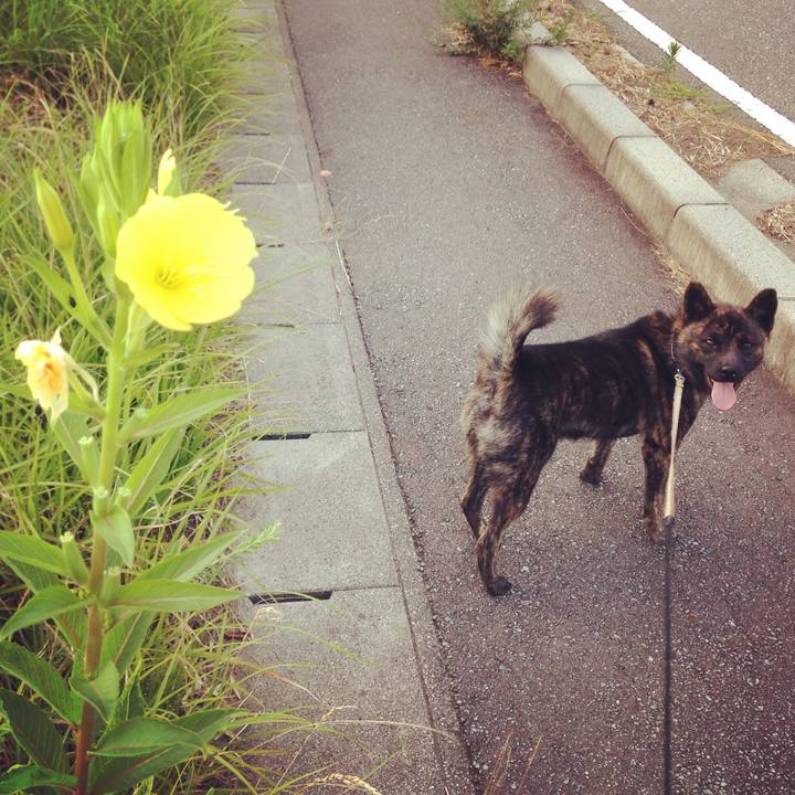 62954fd9 55aa 436b 8a7e 06d908ef8671