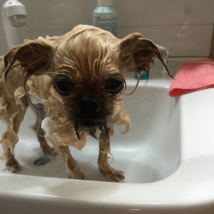 6295ecf2 1cdb 4f5c a5ca e40aed9ac554