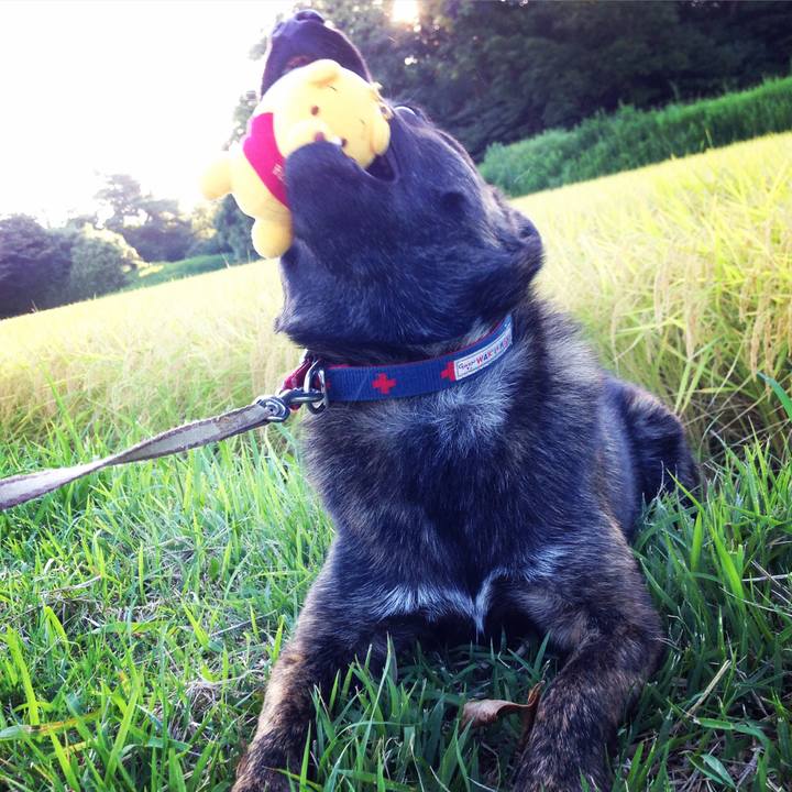 62961dea 34f9 483a 8b9e f8ca009fd2fb