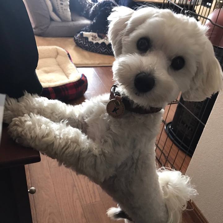 62977de5 893a 4792 bacd 150ce9e1372f