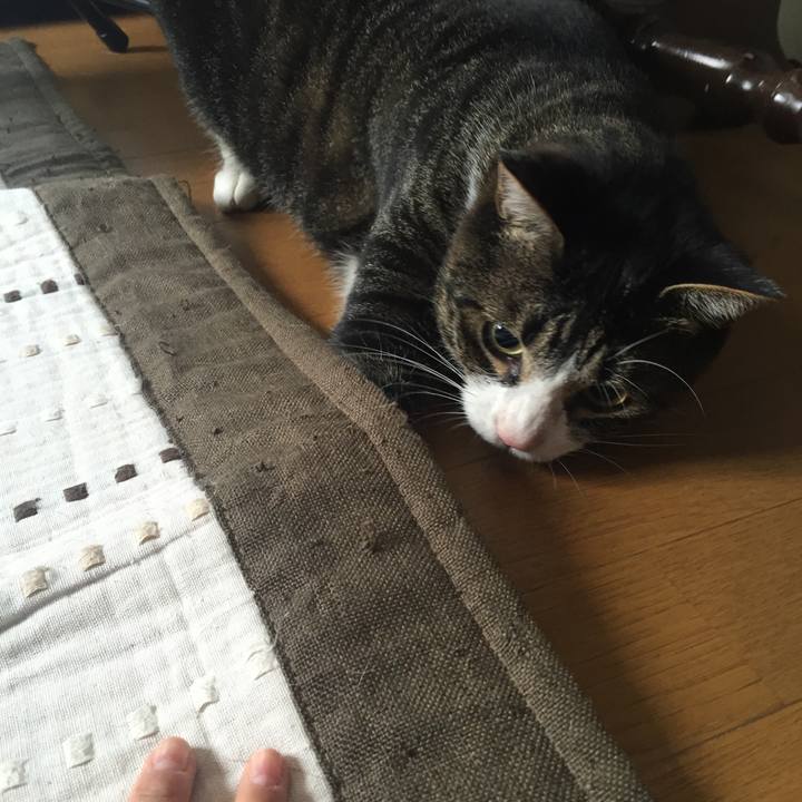 6297a044 b445 457b 80f7 3fc7db08970d