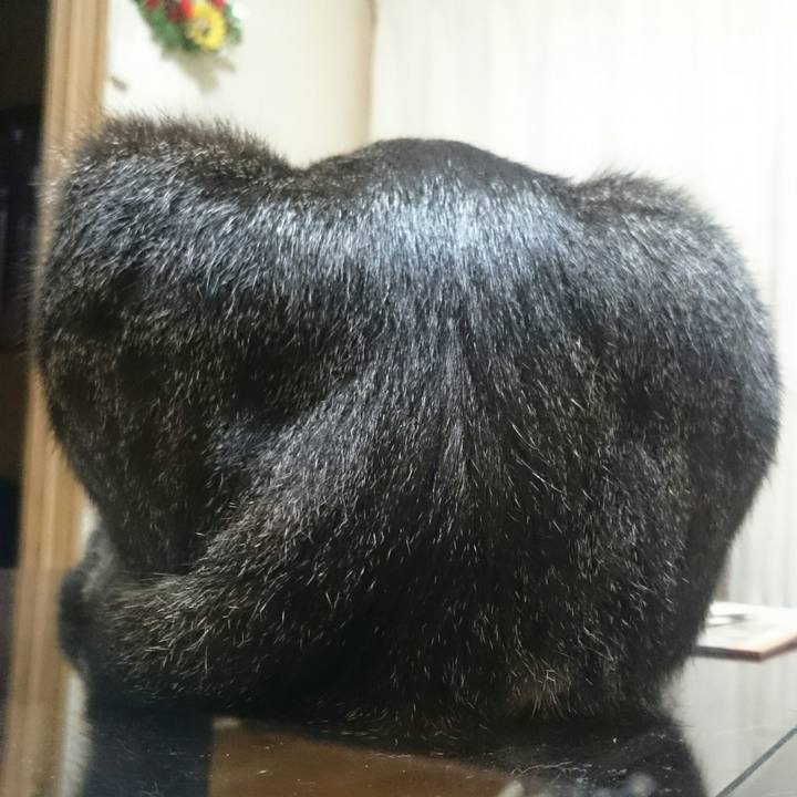 6297fdea 707f 4ea6 be72 084a3c8b863c