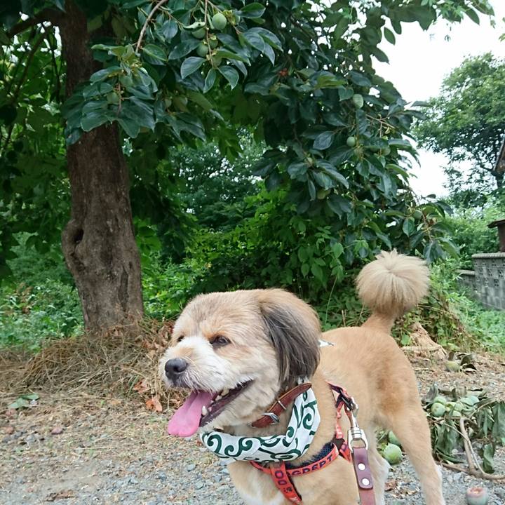 62987d56 a481 4ba8 8156 c27d9d1db1bc