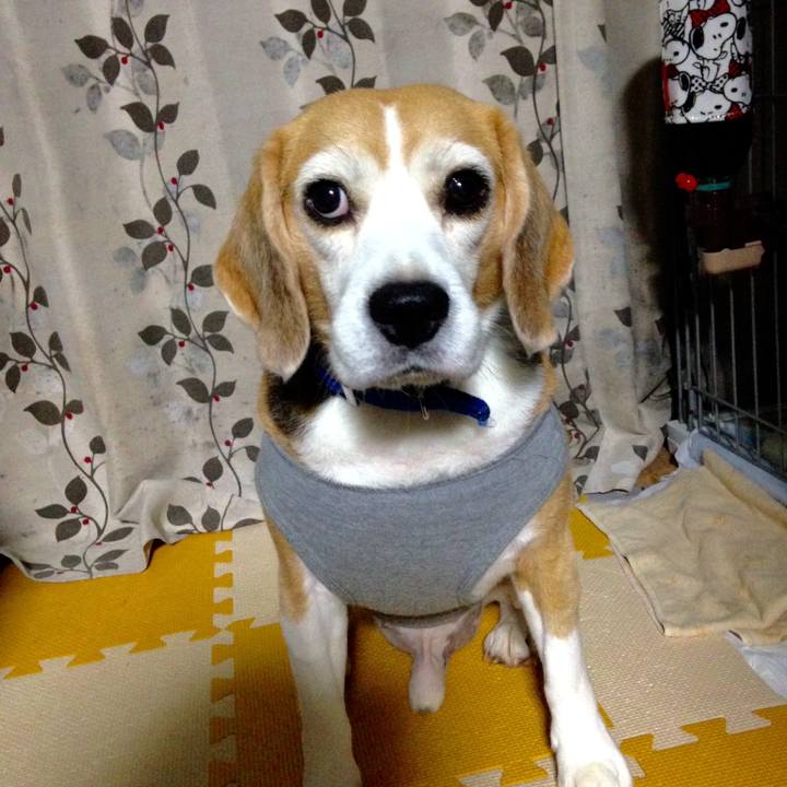 6298ca2a de3b 4f5d b286 e05ca37ffbec