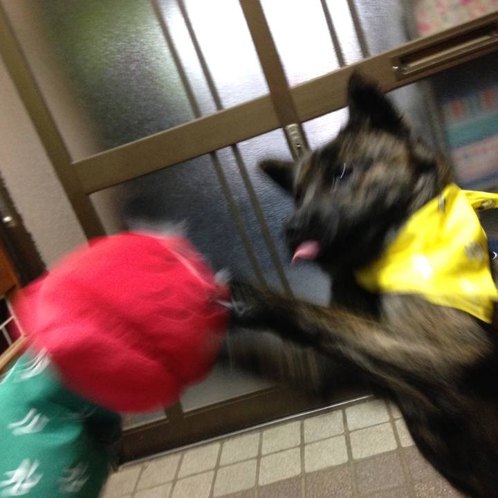 6299311f c691 43a1 b2e6 88df346f7492