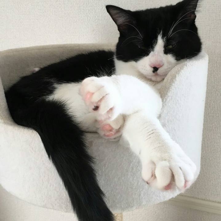 6299862f ae1e 4550 804a 6f69834d2d19