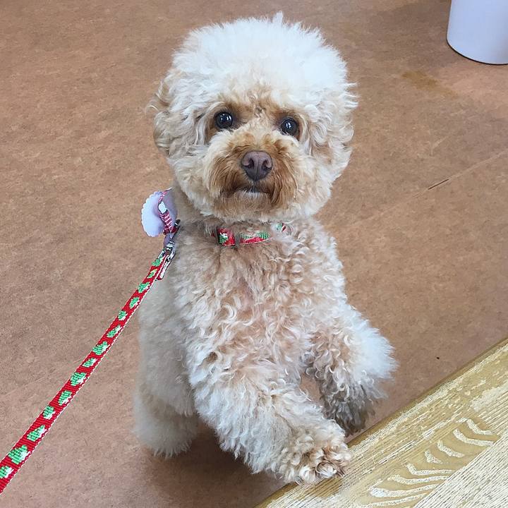 6299902c ed5a 4b3f b3be cc0d727d5bd7