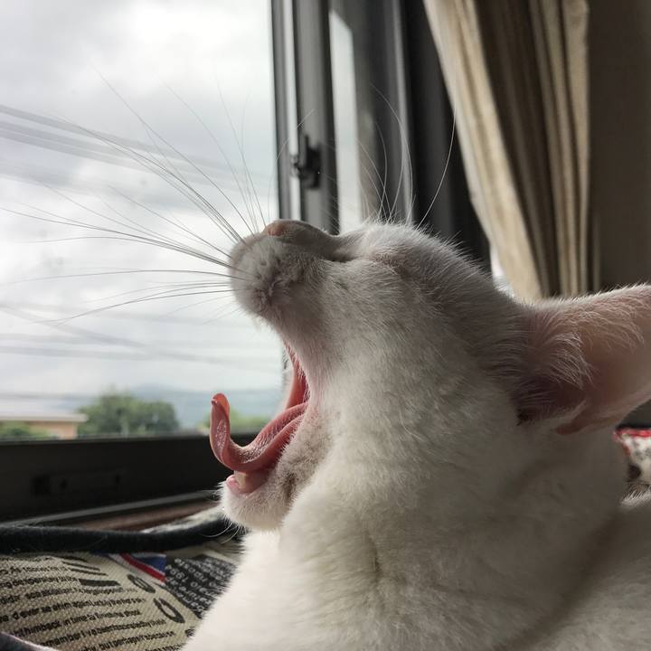 629a51d8 cd09 4e9a 8207 53d2bd5549eb