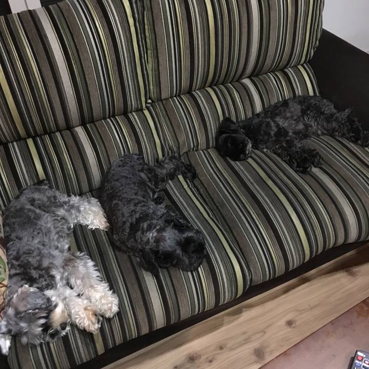 629aa91c 8f24 4b59 b2ac 82a174acf3a6