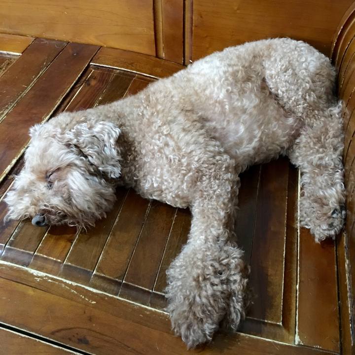 629ba8c6 e887 46e2 830e 457c25caca13