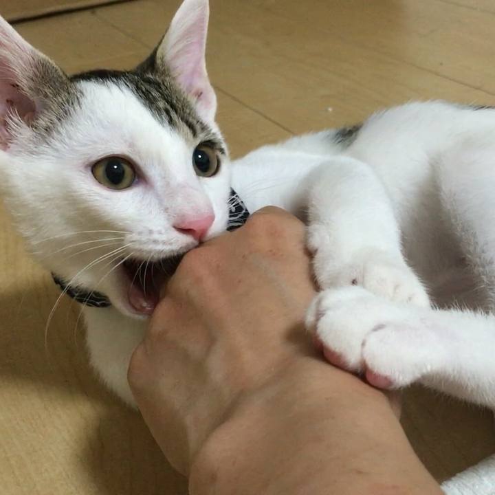 629babc3 9556 4b14 af3a a9e486e9c81a