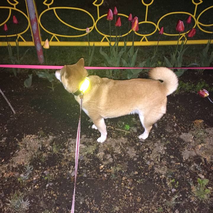 629bd823 7804 4480 83f3 ce4fd8bb8896