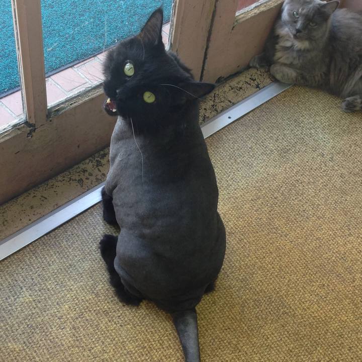 629be9fa 4dd7 4b68 8edf c382bd886e87