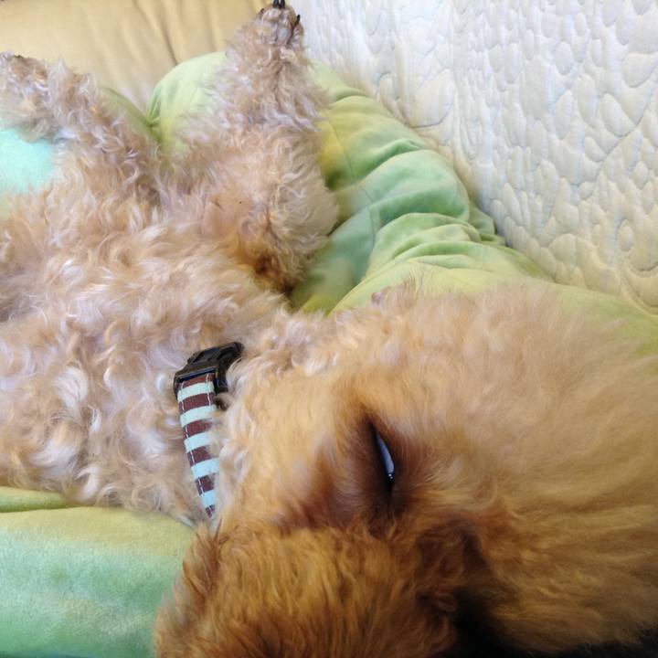 629c07b9 a5f7 44f2 91ed 677ba39bf52a