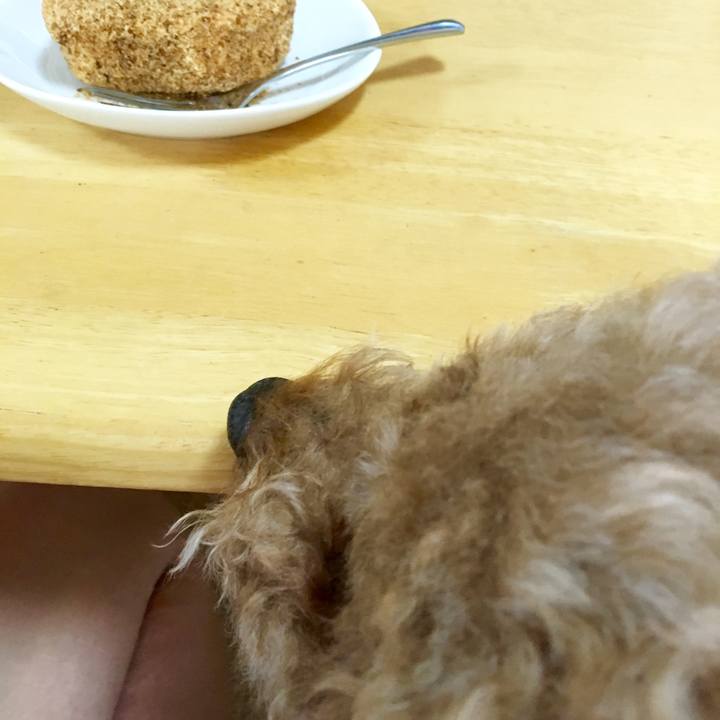 629cb2d0 dc33 4c18 9003 8395d6ed8eb7