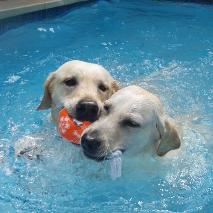 629cd4e7 2298 4dd1 b33e c60760070684