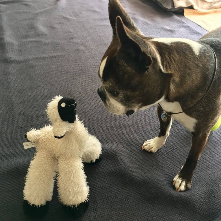 629cf3c2 06b0 4abf b421 e6e1981d6932