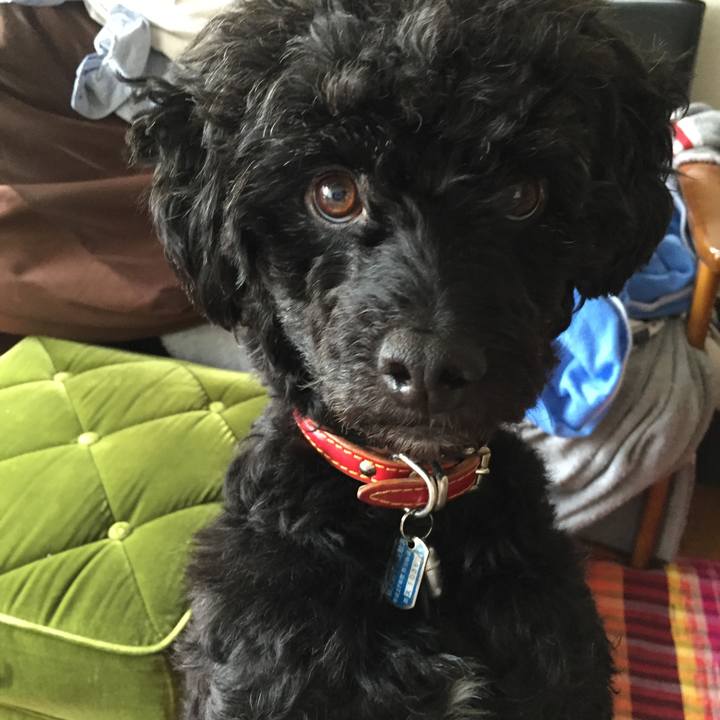 629d0bd7 1015 404c 974e 17ac88a44cd5