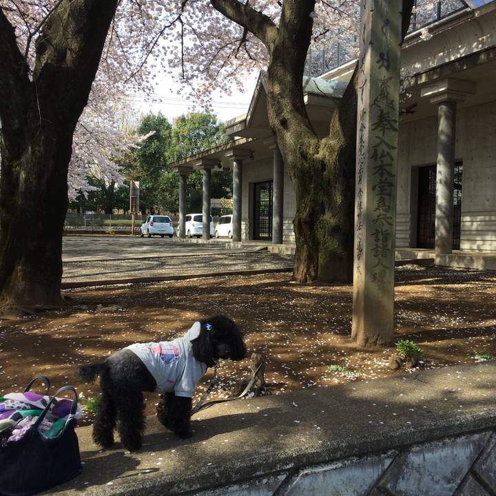 629dd8c8 6df2 427c b193 8e27805cef15