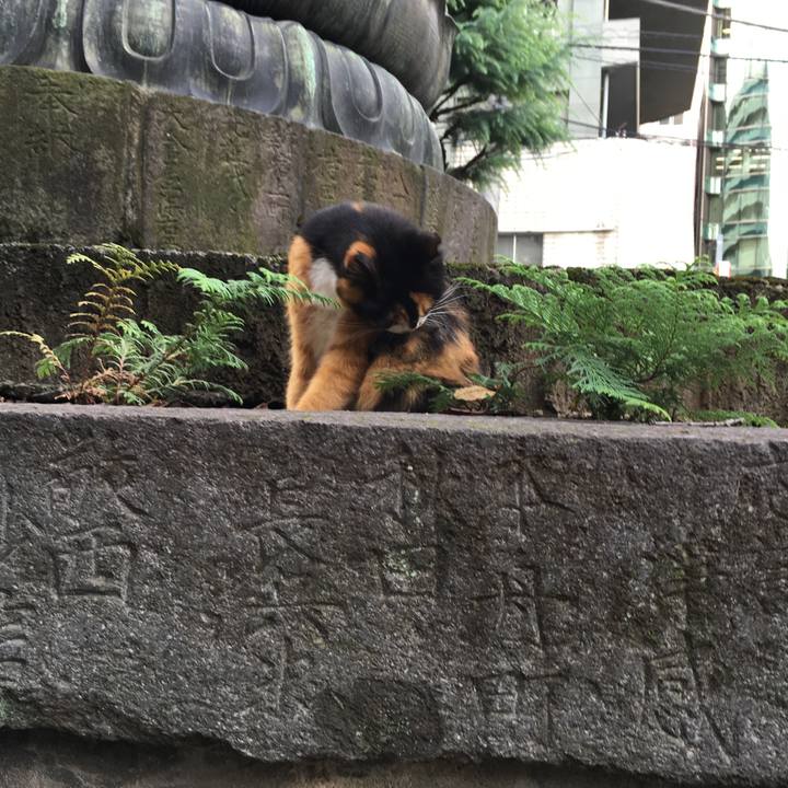 629e31e6 3fff 4d82 85de 6170bd4bdd48