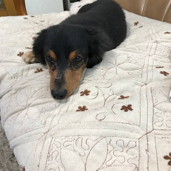 629ef200 c906 4356 a2d4 7534a1bf5734