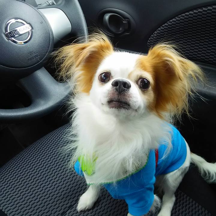 629f13ef a54e 43b6 81d6 02f7cc145017