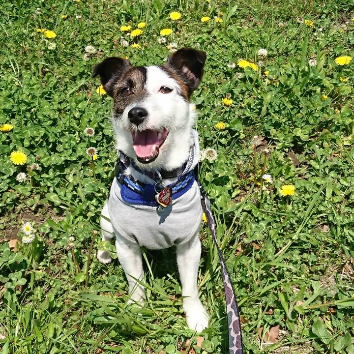 629f50ae 0280 47cc 9bb7 6d447e845202