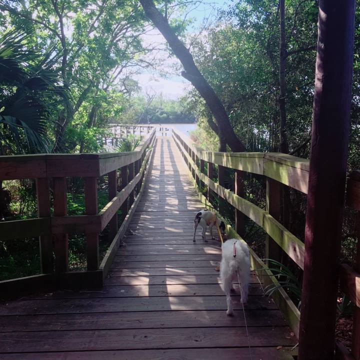 629f84b4 99c9 4a79 a9cd 2082936cb6c8