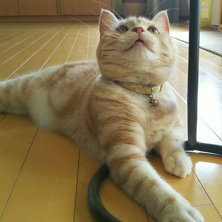 629fbb18 44be 420e b480 bb76852efae5