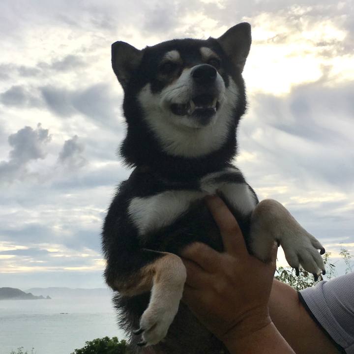 629fcff3 3541 4c7e bce3 e92ded8d7f20