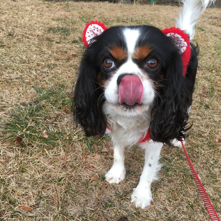 62a01a0a bd17 4a64 8680 10253b8cc1af