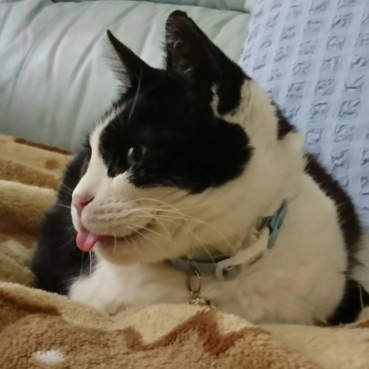 62a0b066 5063 4889 9cd3 da0d7011d3b7