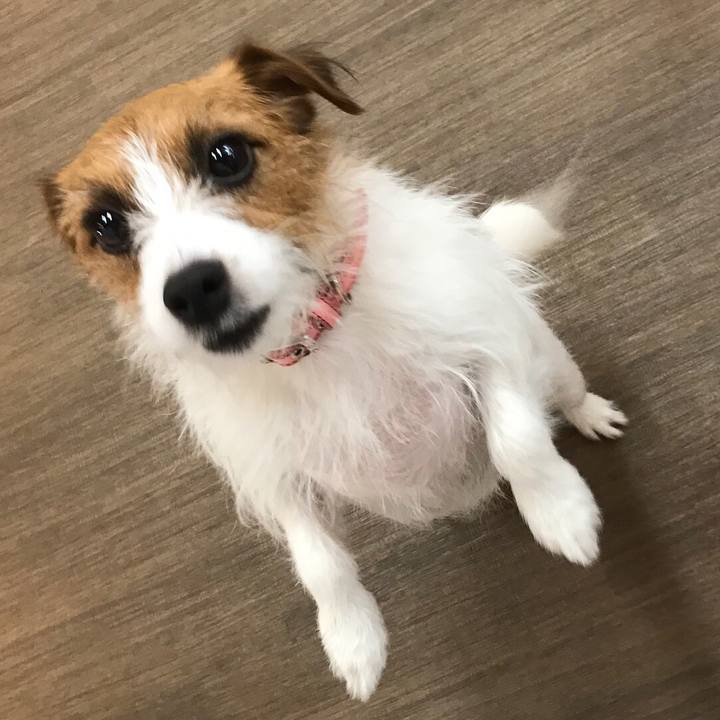 62a0b4a0 d754 4a53 a969 0494e915e2dd