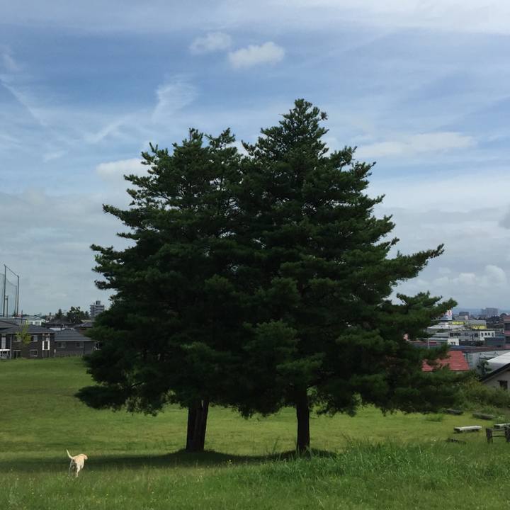 62a0e47a 5daf 4f22 9149 63c010bc3ff0