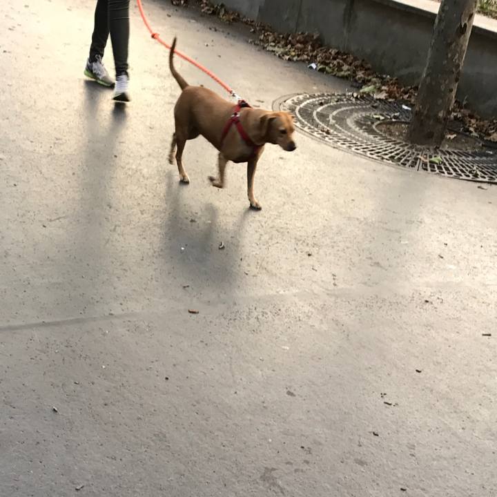 62a0efae 4654 422a 8c4d c4be91f3a6a0