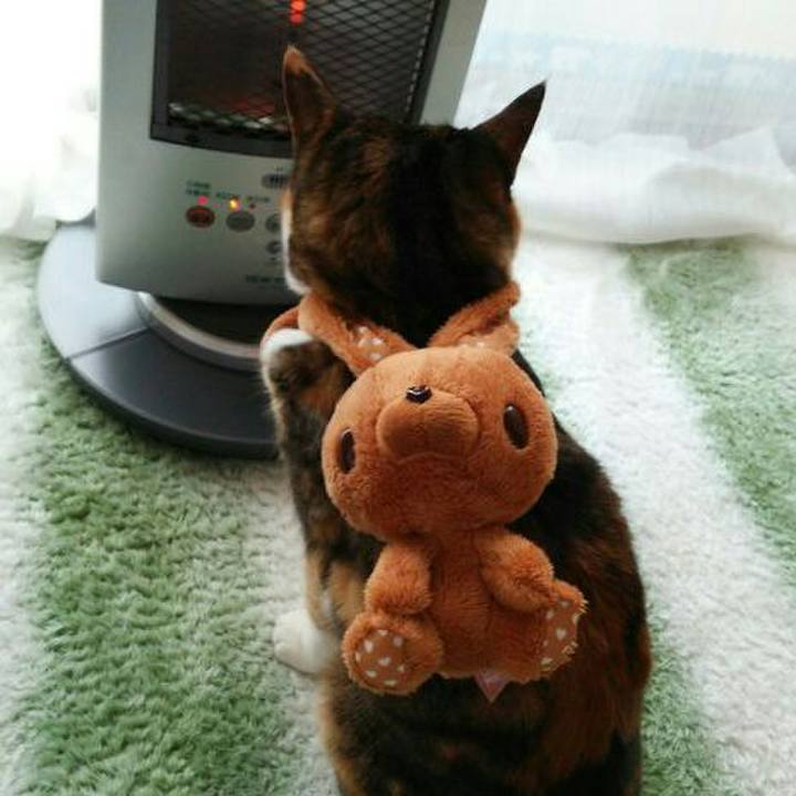 62a14751 d542 4647 bde4 c48e5fe5a46b