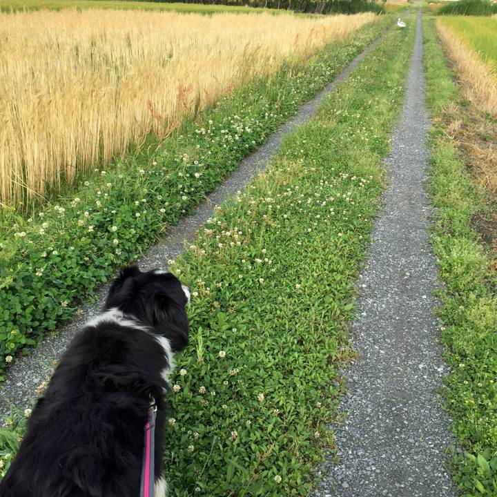 62a19e07 f341 4fab aab0 00c819d820f9