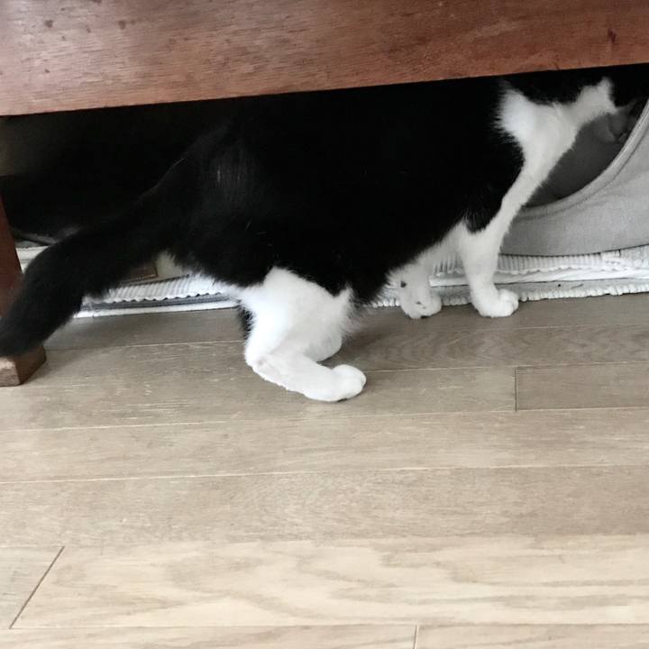 62a1e661 2319 4d36 8005 dc730cc2fc73